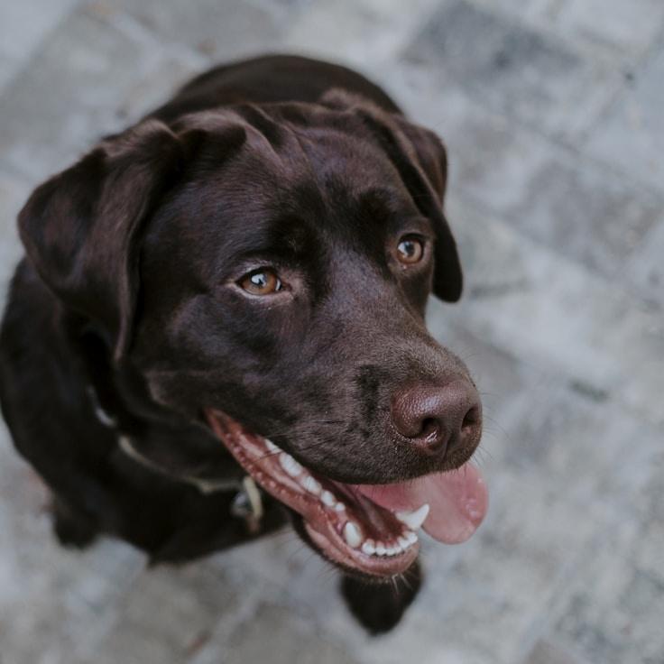 School environment for families in Madrid, Spain